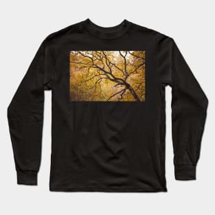 Autumn in Glendalough Long Sleeve T-Shirt